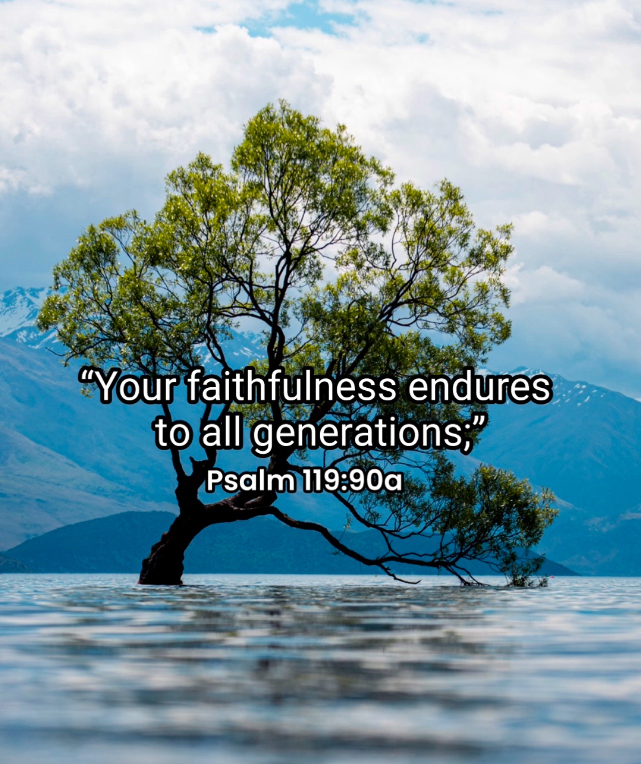 The Faithfulness of God in Every Season Image