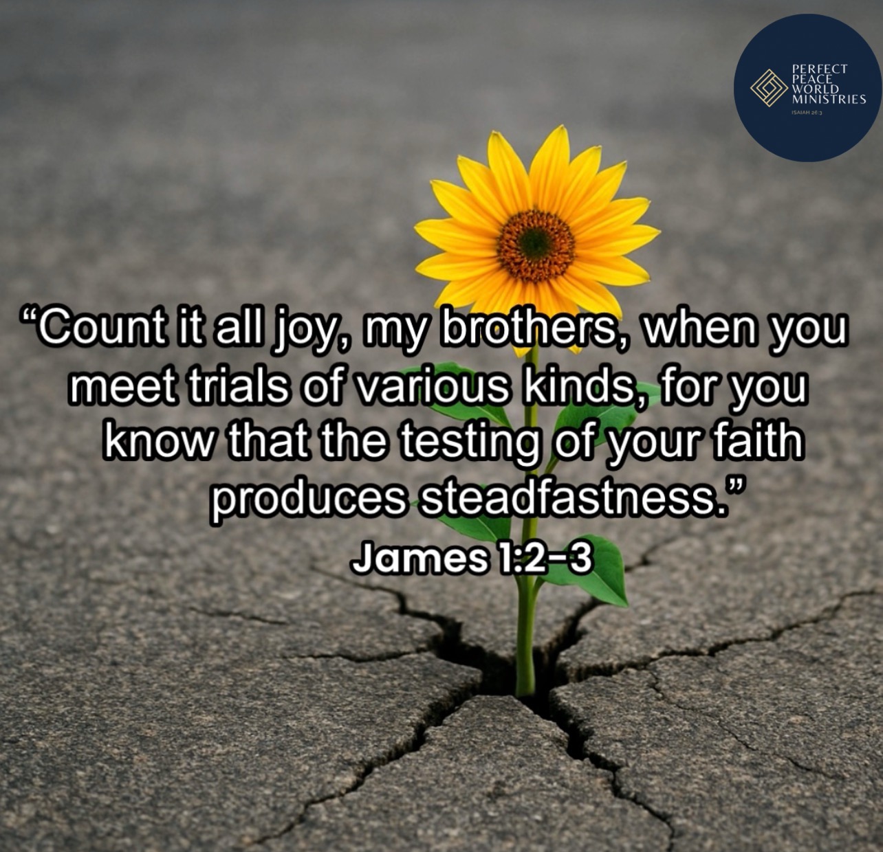 Finding Joy in All Circumstances Image